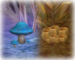 collectibles.png