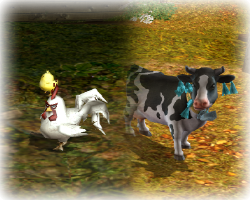 farms.png