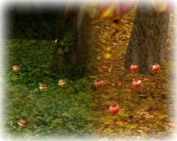 fruits.png