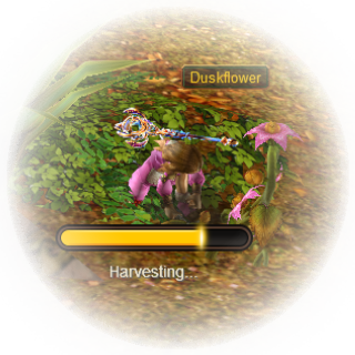 Collector.png